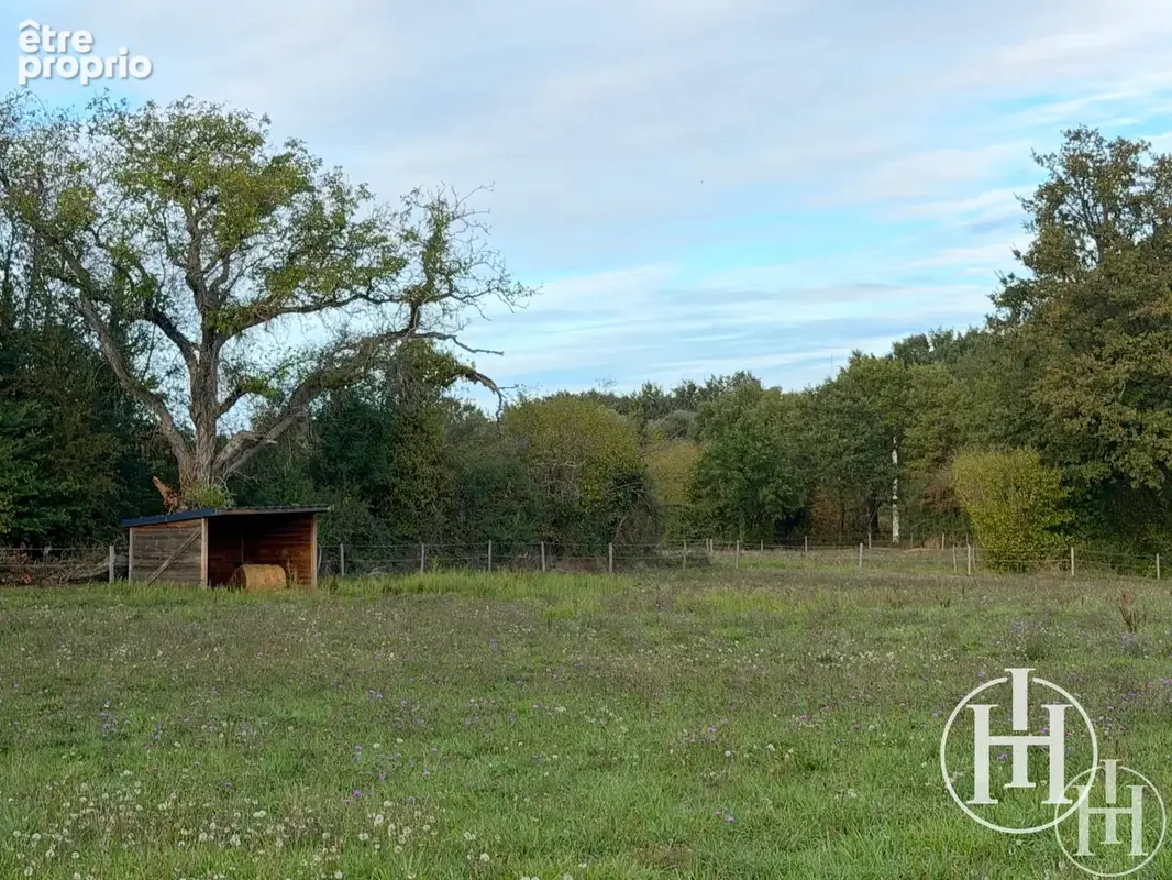 Maison de campagne rénovée avec 5 hectares - photo 8