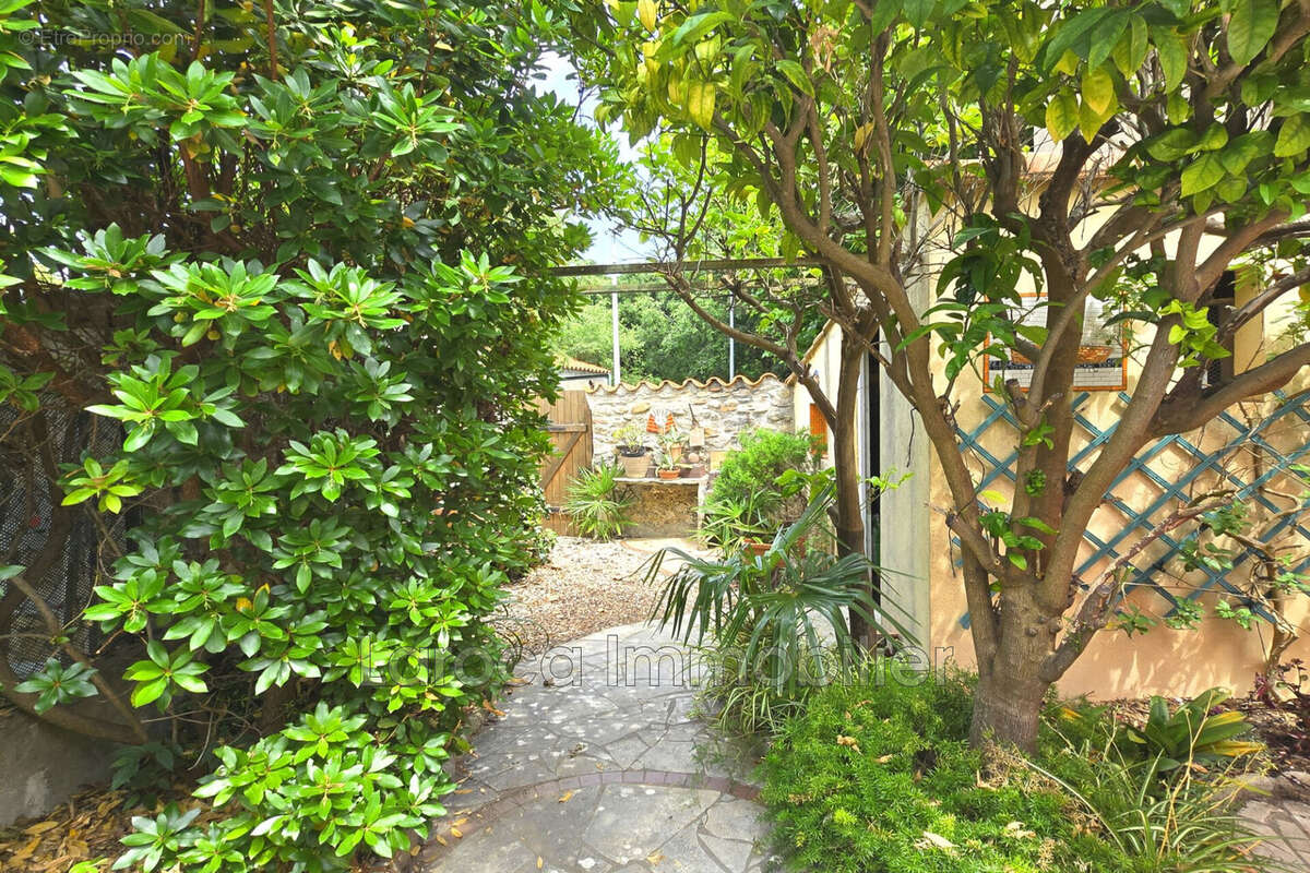 Maison à LAROQUE-DES-ALBERES