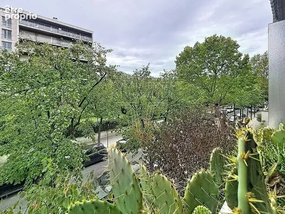 Deux-pièces lumineux neuilly. - photo 13