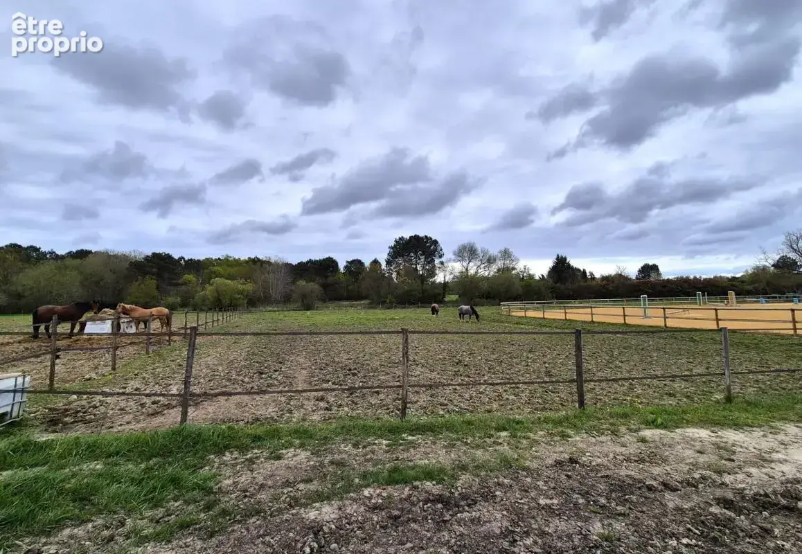 Domaine Equestre à Besron - photo 11