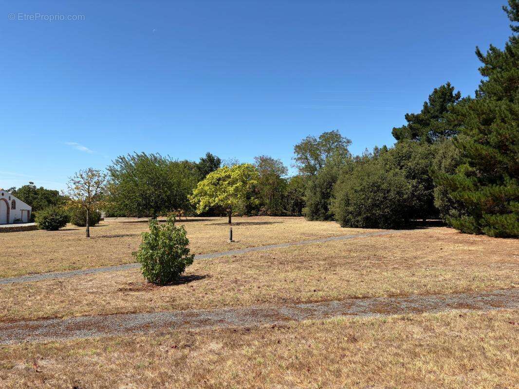Soullans 85300 - domaine prive de 3,2 hectares clos - propriete d'exception avec granges et presqu'ile - photo 29