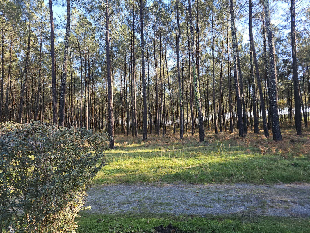 Maison à LIT-ET-MIXE