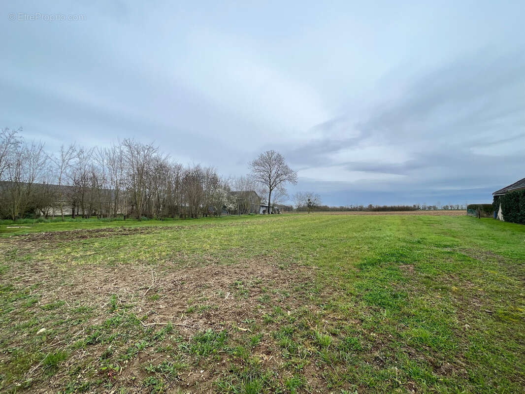 Terrain à PAUDY