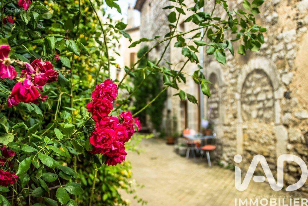 Photo 1 - Appartement à VIOLS-LE-FORT