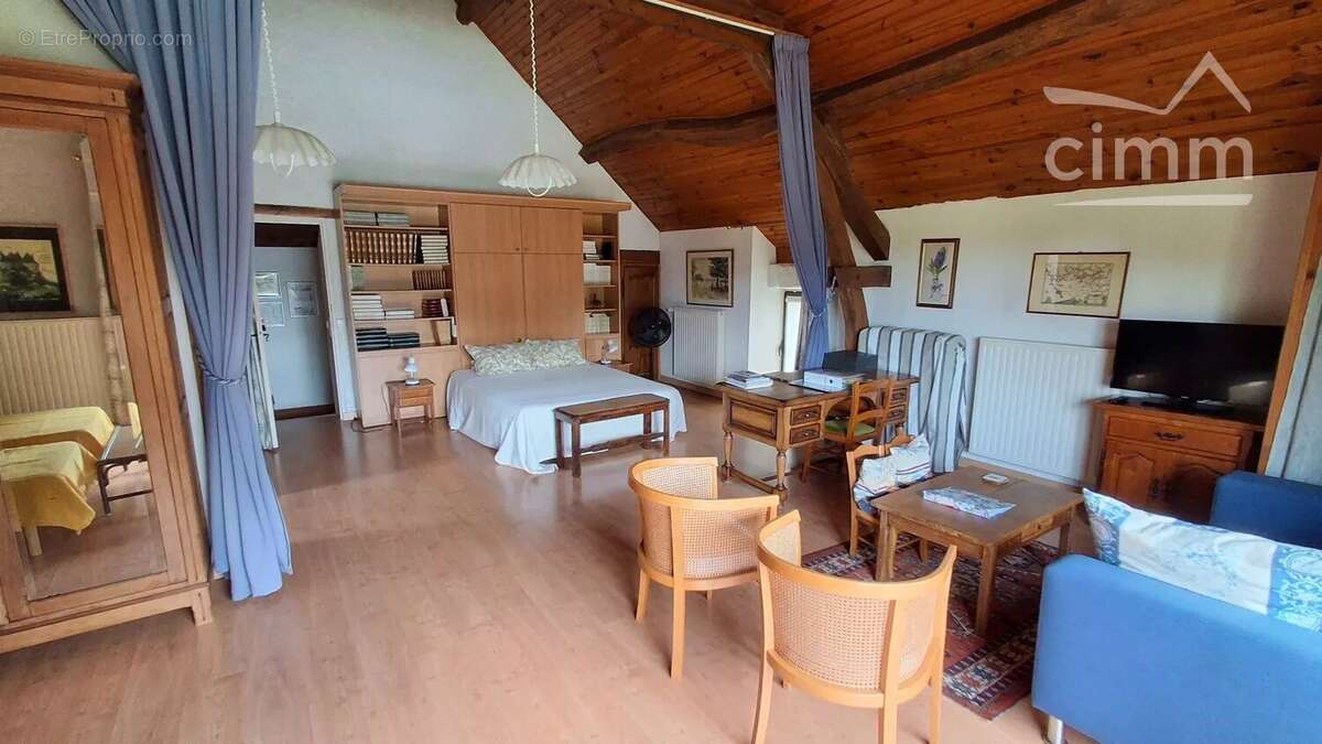 A VENDRE, Vineuil, propriété de charme avec chambres d'hôtes, gites et piscine - photo 13