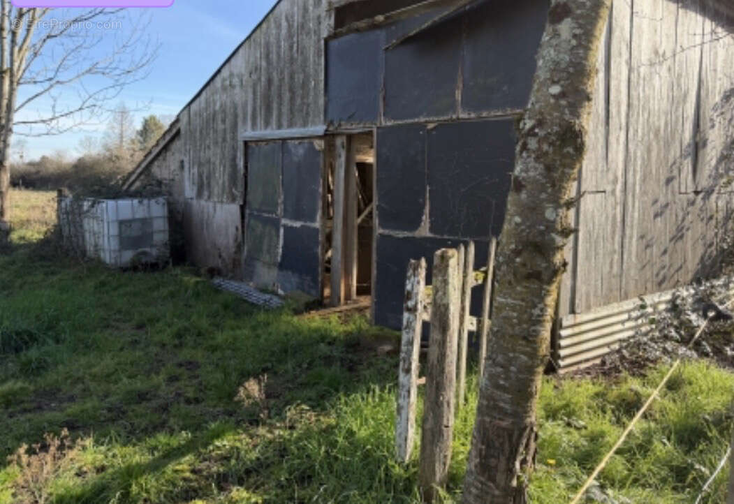 Maison de village à rénover, avec terrain et parcelles - photo 4