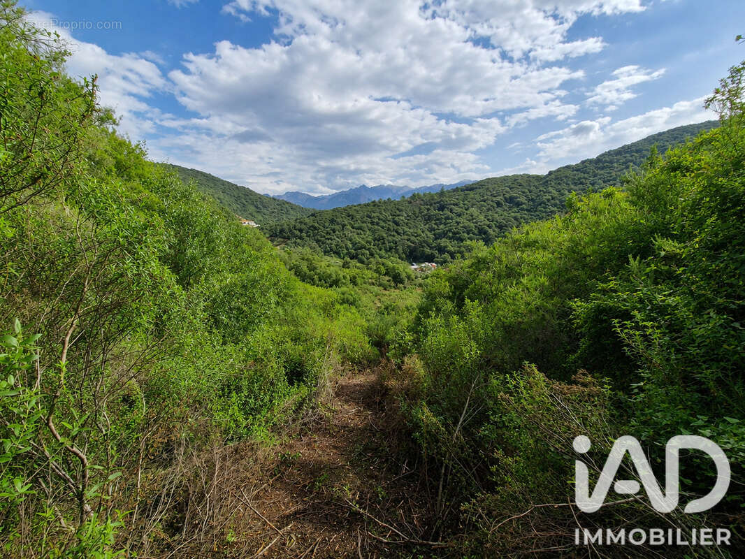 Photo 5 - Terrain à OCANA