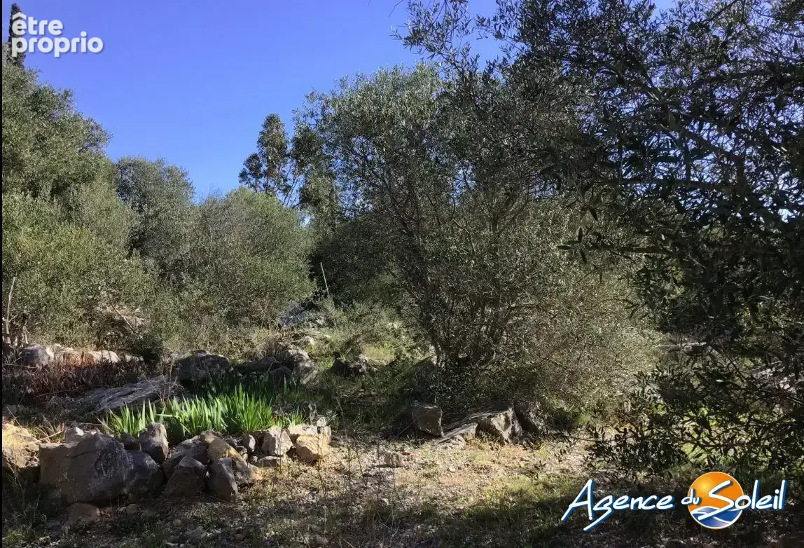 Terrain à LA PALME