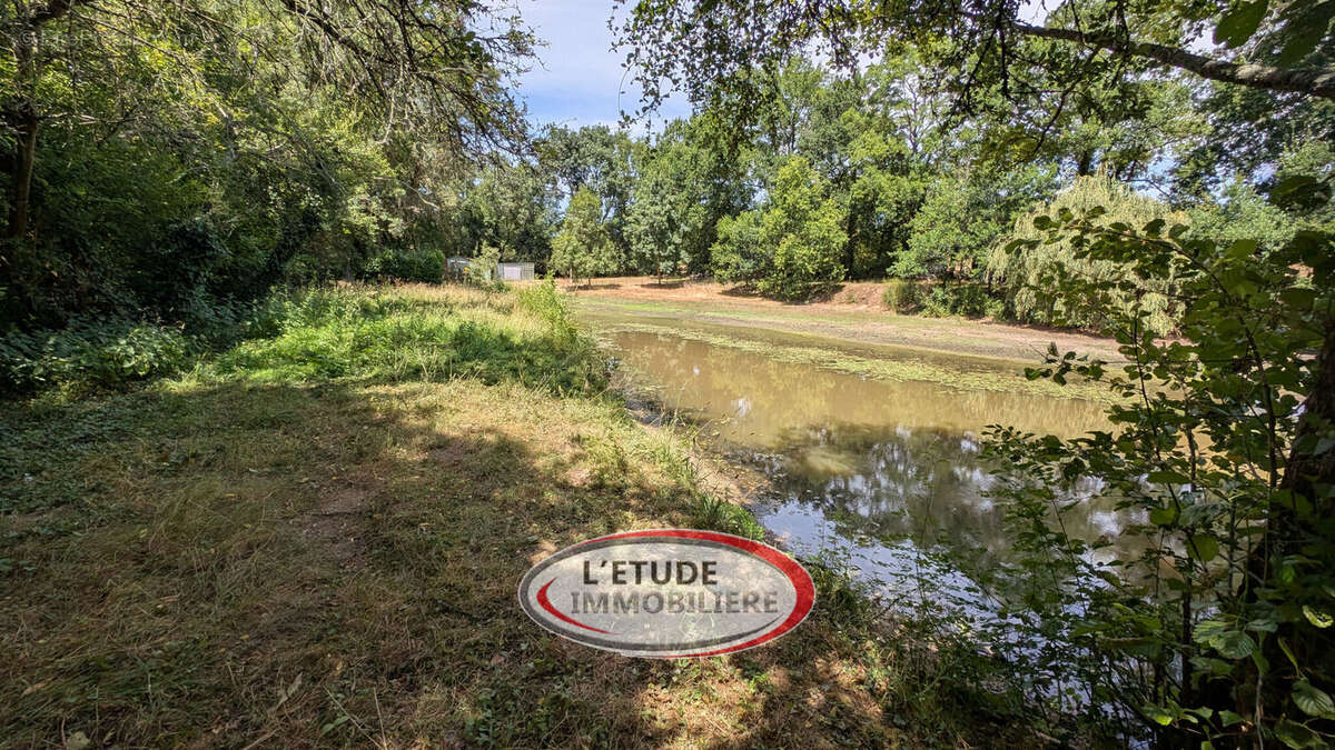 Photo 3 - Terrain à CHATEAU-THEBAUD