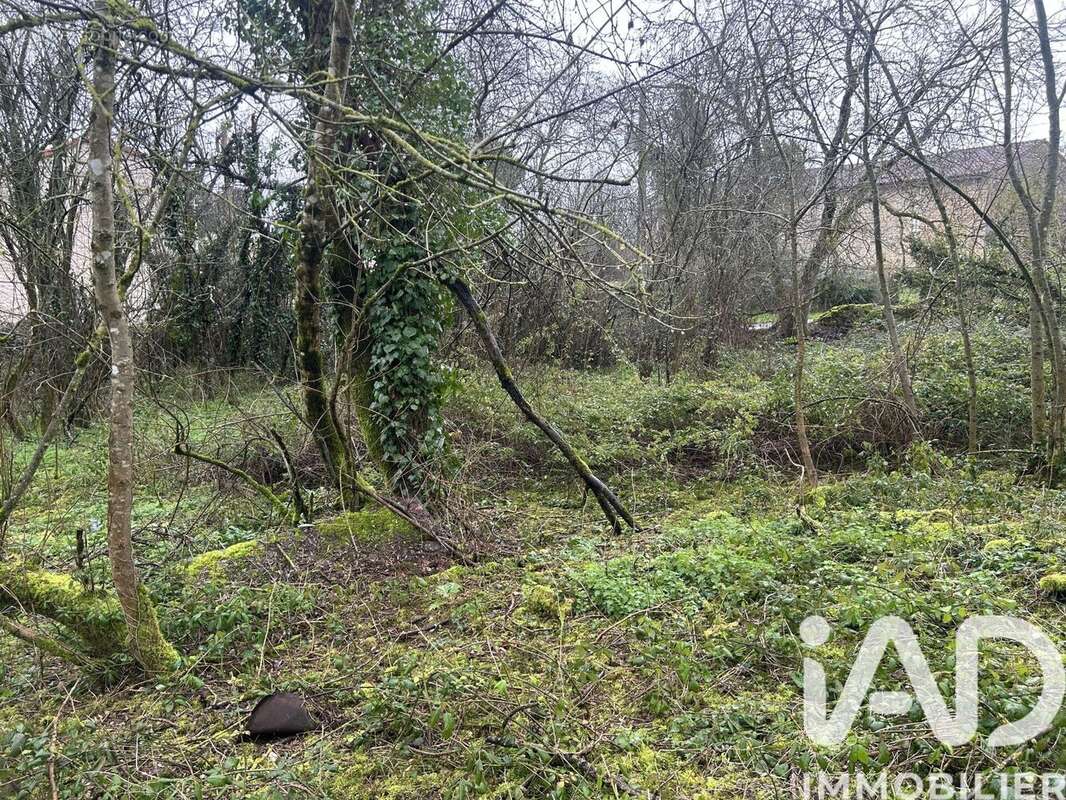 Photo 4 - Terrain à MAINE-DE-BOIXE