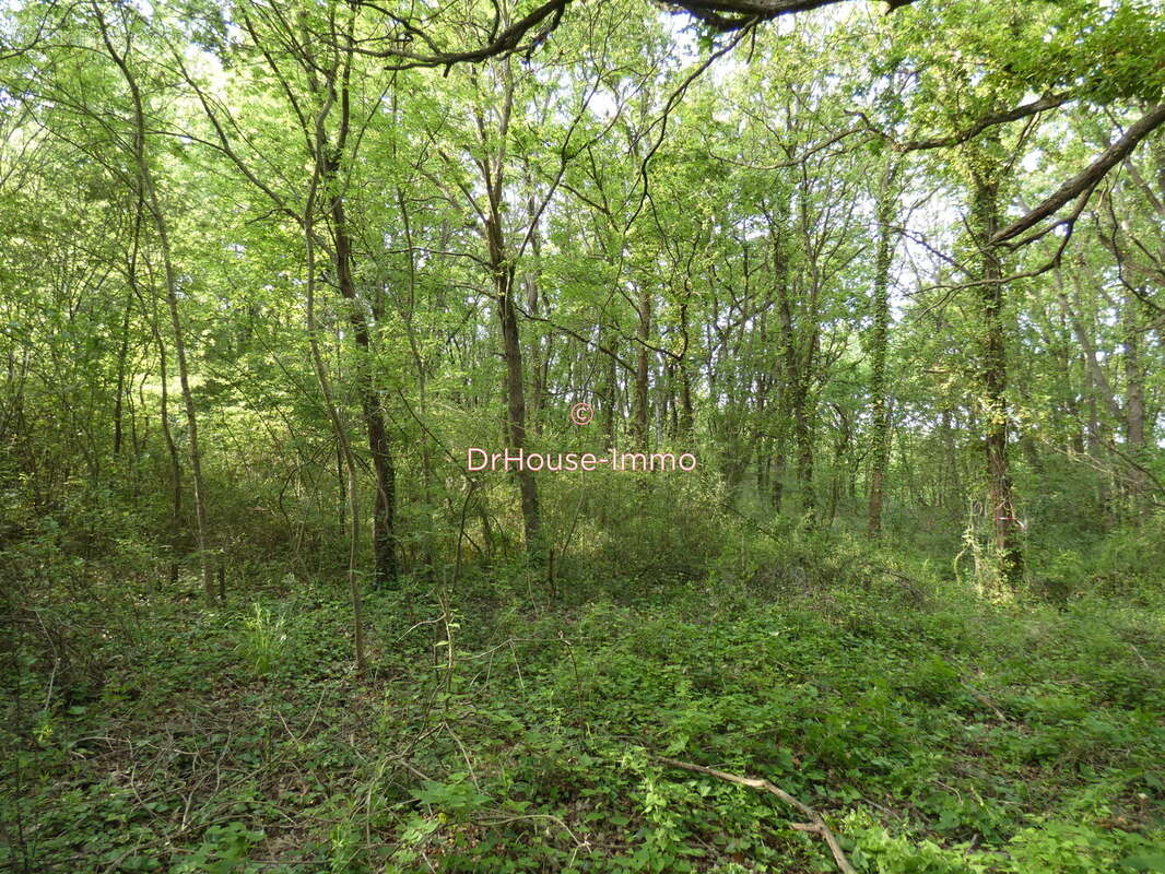 Terrain à BOURCEFRANC-LE-CHAPUS