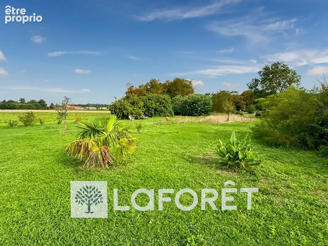 Ensemble immobilier - Maison + Gîte - 30 MIN DE ROYAN (17200) - photo 11