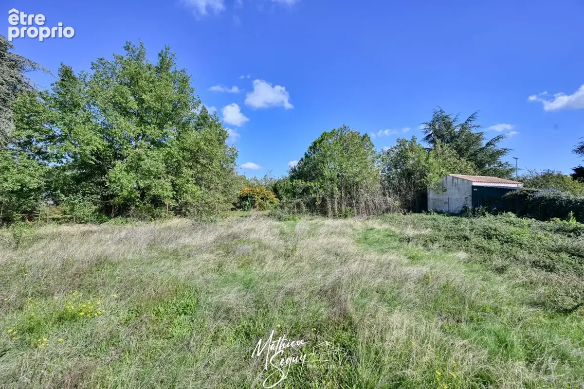 Un joli terrain recherche ses futurs propriétaires pour implanter un nouveau projet de vie! - photo 5