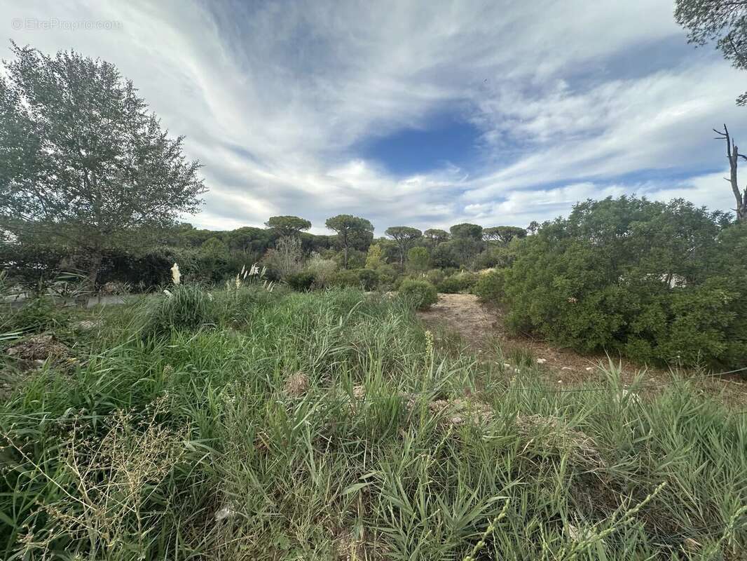 Terrain à FREJUS