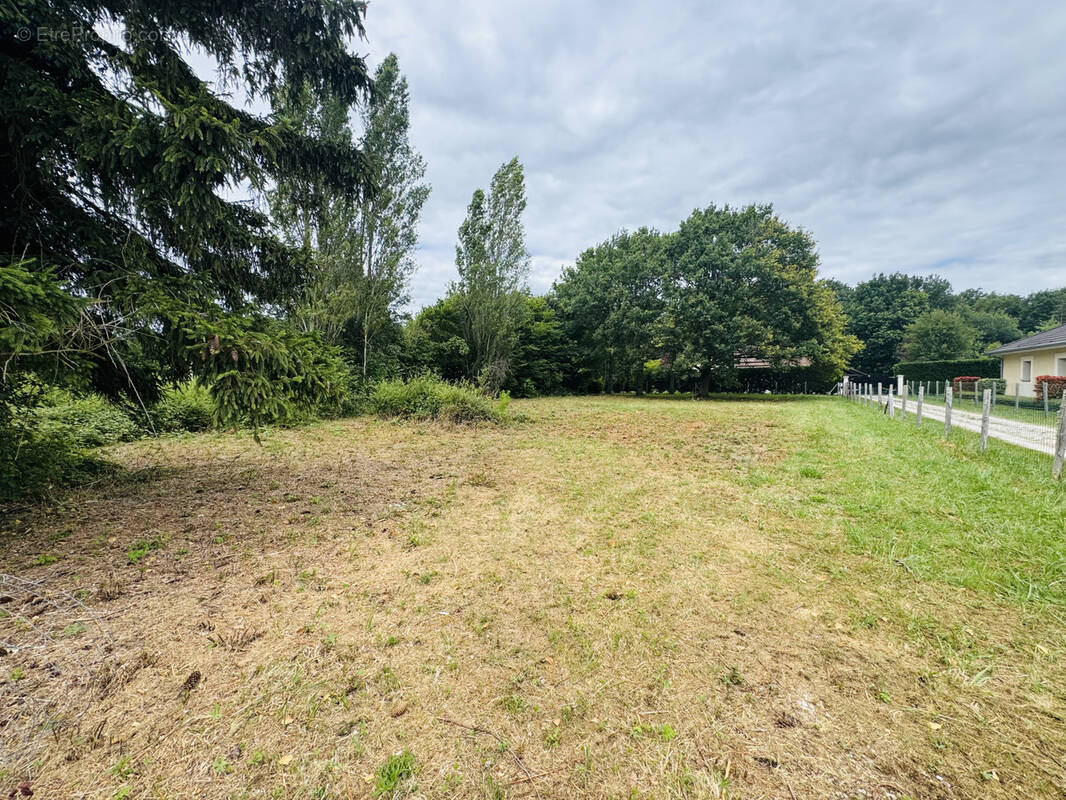 Terrain à OUSSOY-EN-GATINAIS