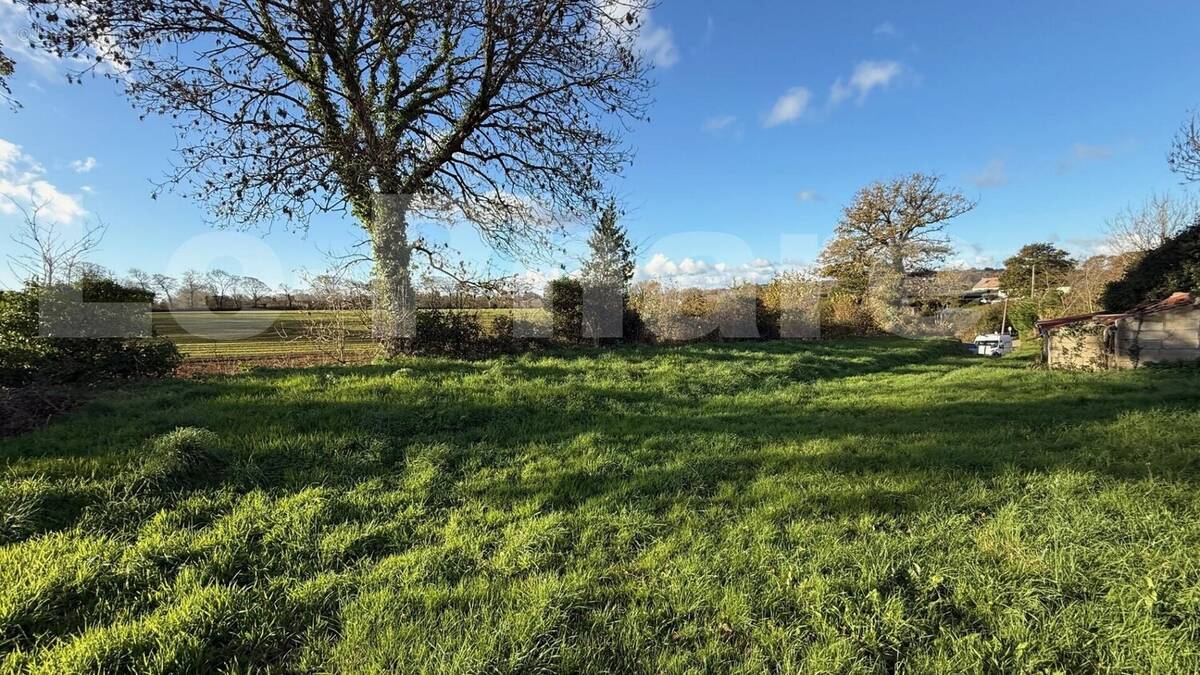 IMG_7133 - Terrain à SAINT-CHRISTOPHE-DU-FOC