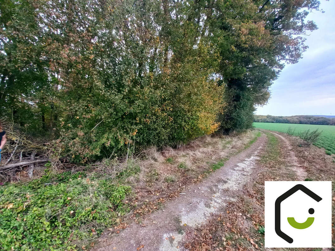 Terrain à SAUVILLERS-MONGIVAL