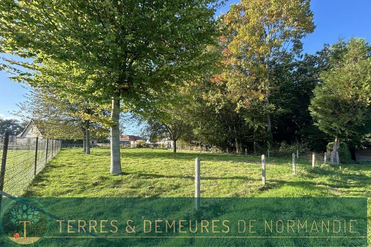 Terrain à BOSC-LE-HARD