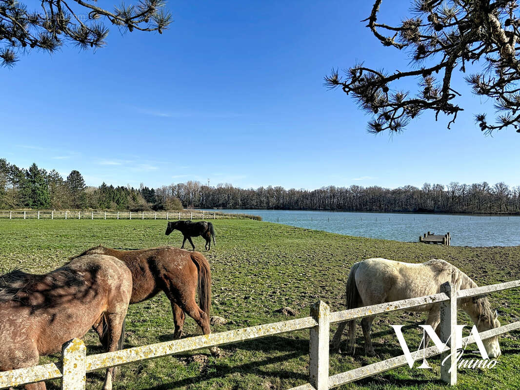 Maison à LE PLANTAY