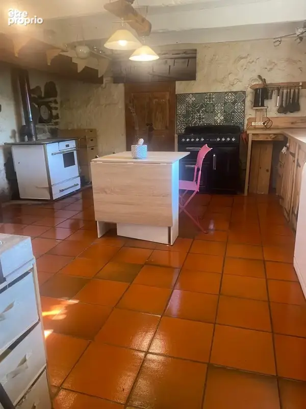 Belle maison Ardéchoise avec gîtes sur le terrain de 9950m² - photo 20