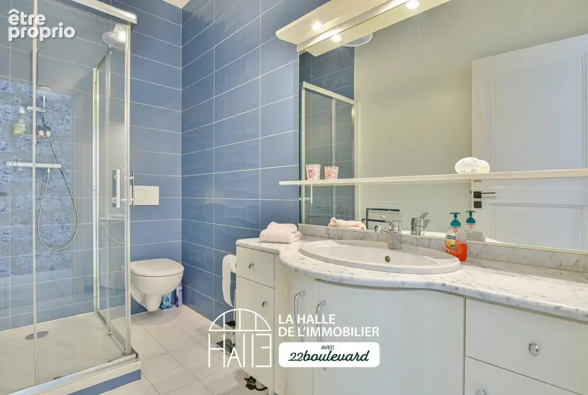 Propriété - photo 19