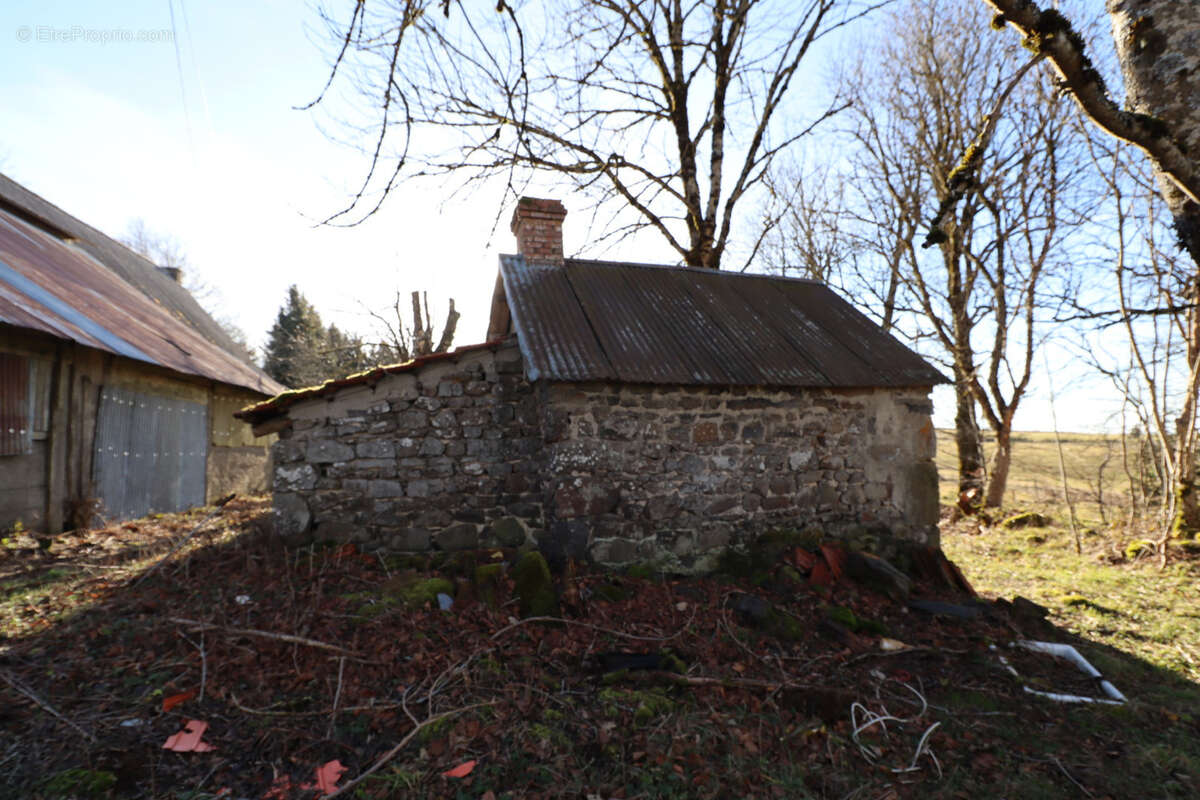 Maison à SAINT-SAUVES-D'AUVERGNE