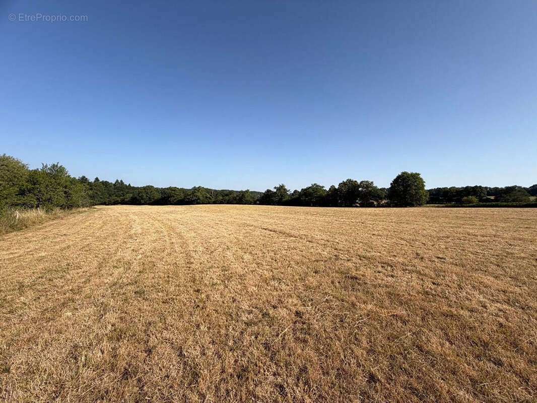 HAUTE VIENNE - Ancienne ferme avec 6 hectares de terrain - photo 12