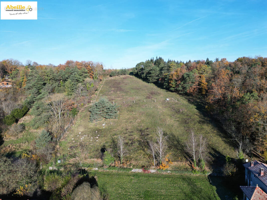 Terrain à CHALO-SAINT-MARS