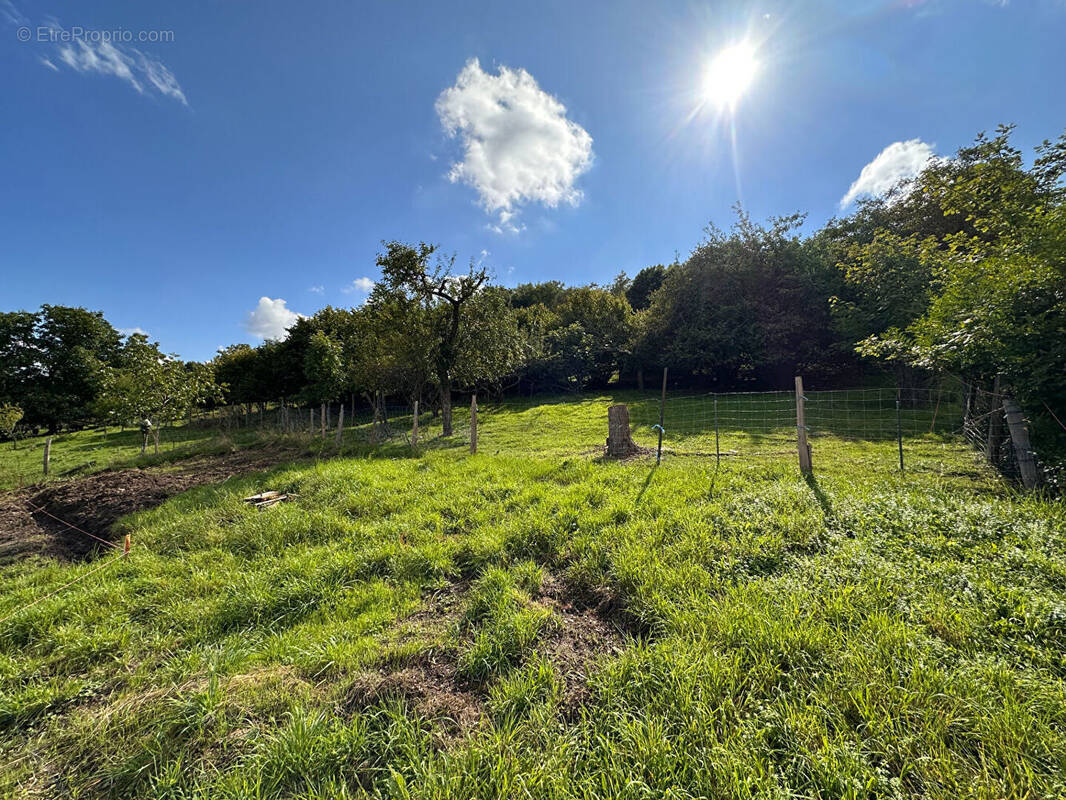 Terrain à SOULTZ-HAUT-RHIN