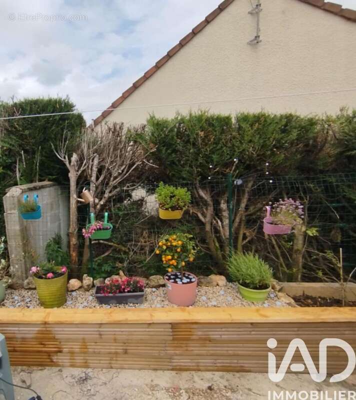 Photo 3 - Maison à ESTERNAY