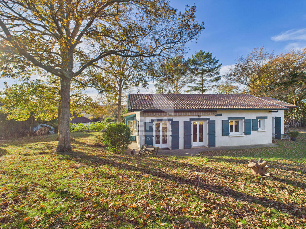 Maison à ARBONNE