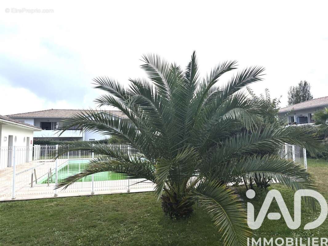 Photo 9 - Appartement à LA TESTE-DE-BUCH