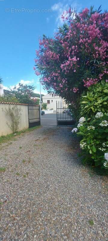 Agde- proche berges de l'herault - photo 31