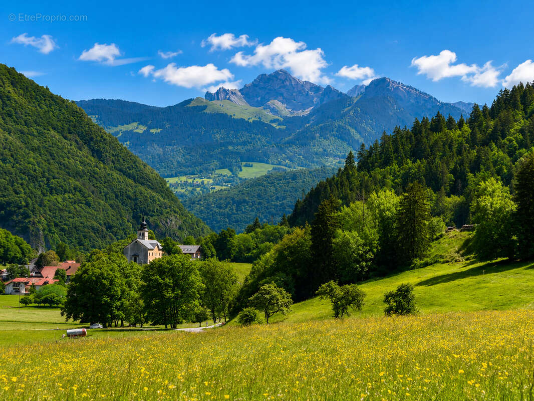Terrain à LA TOUR
