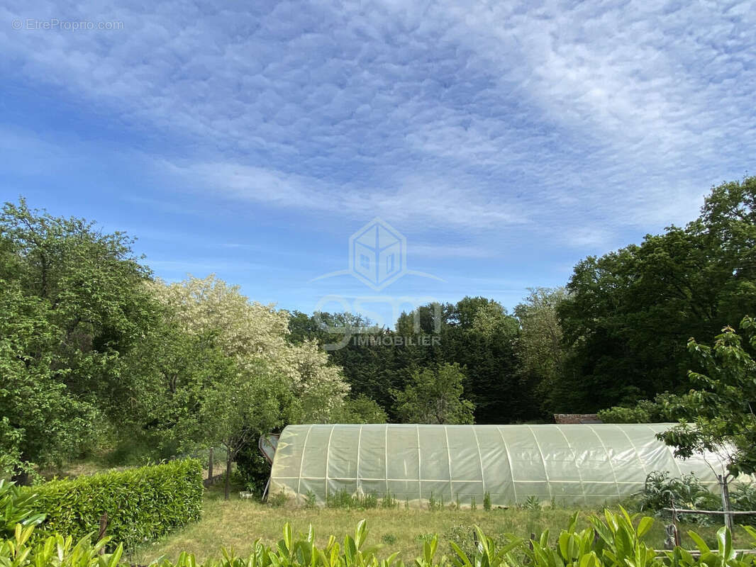 Jardin