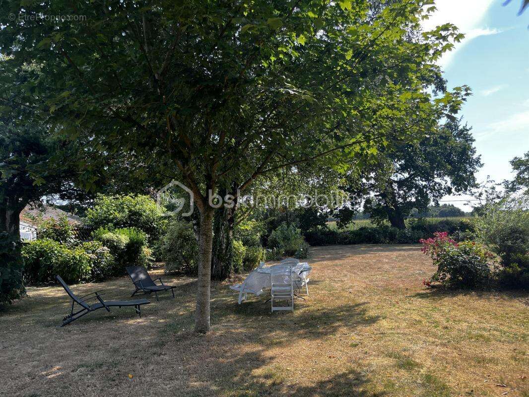 Maison en pierre de caractère avec grand terrain, dépendances et jardin nourricier - photo 26
