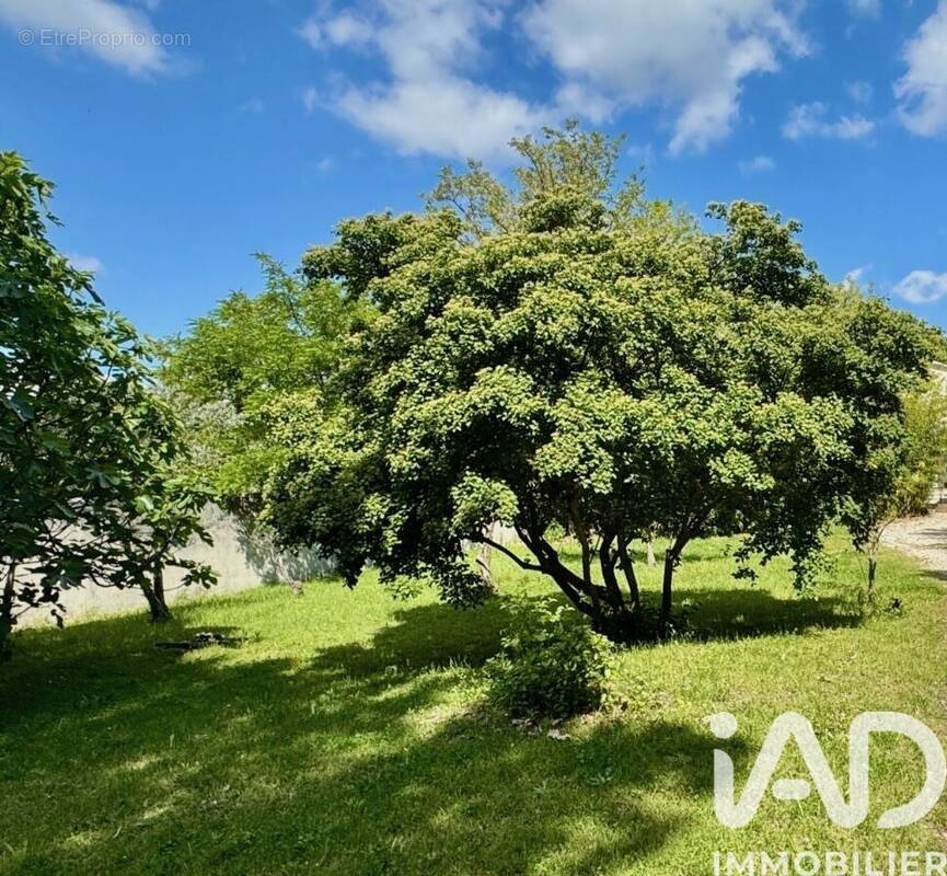 Photo 1 - Terrain à AUBIGNAN