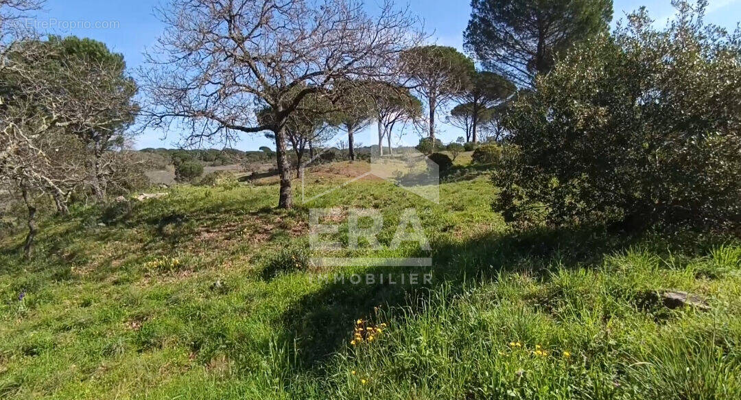 Terrain à VIDAUBAN