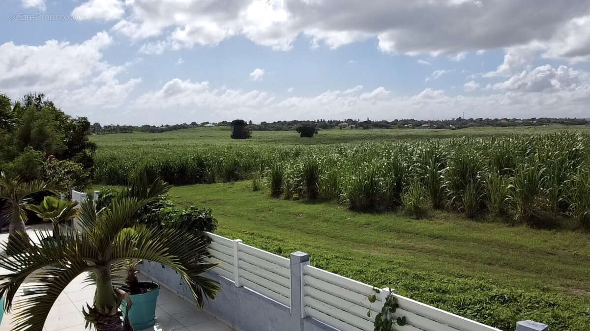 Maison à SAINT-FRANCOIS