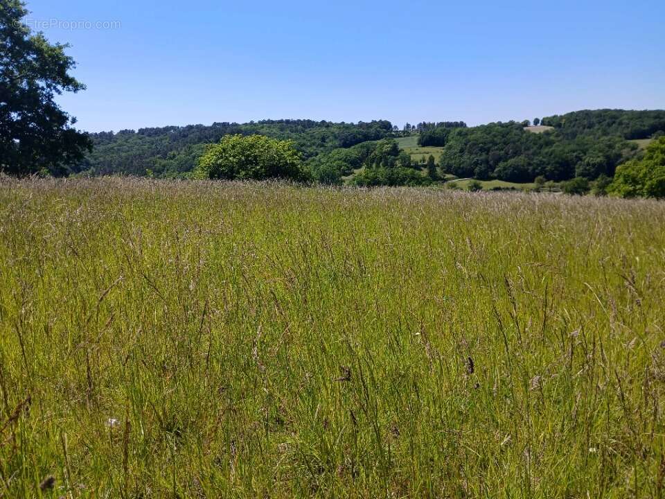 Terrain 2040 m² à Saint-Astier  - photo 2