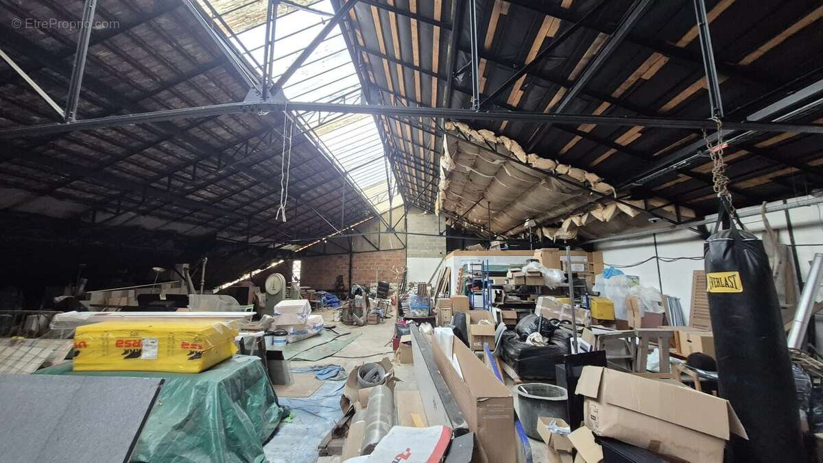 Commerce à MAULE