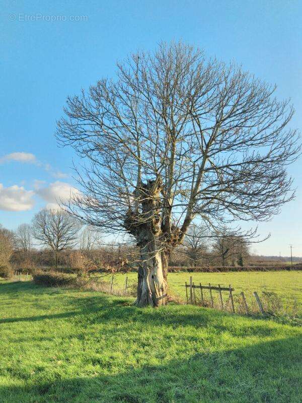 Maison à MONTCHEVRIER