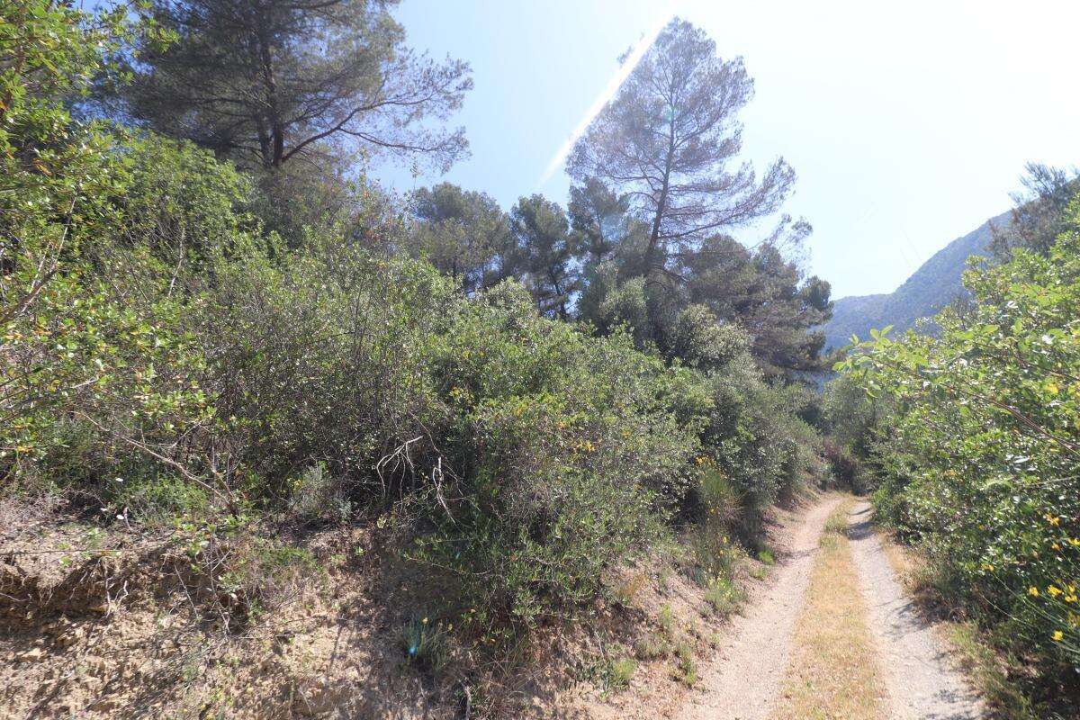 Terrain à PEILLE