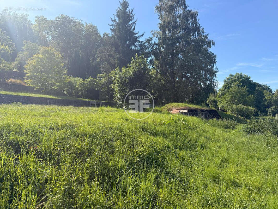 Terrain à HESINGUE
