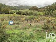 Photo 1 - Terrain à PIERREFEU-DU-VAR