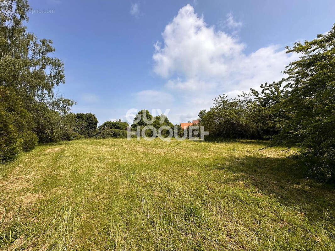 Terrain à SOREL-MOUSSEL