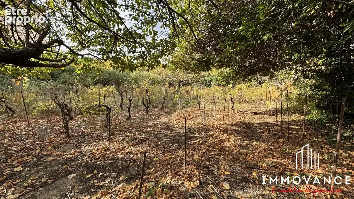 Terrain 355 m² à vendre à Lattes (34970) - photo 3