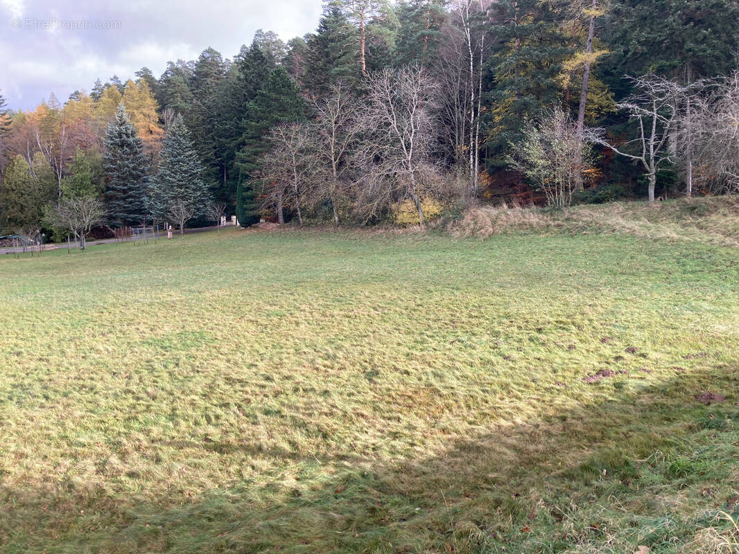 Terrain à WANGENBOURG-ENGENTHAL