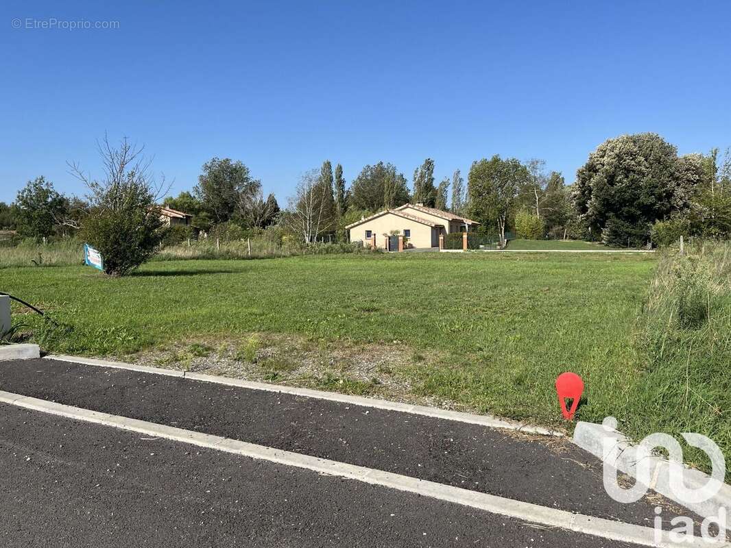 Photo 5 - Terrain à MURET