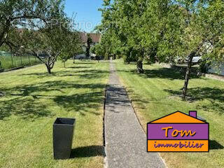 Terrain à SARRE-UNION